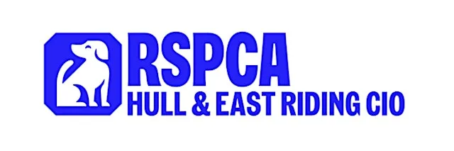 RSPCA Charity Quiz Night at Scale and Feather Bar