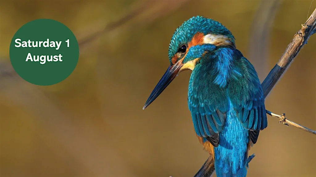 Love Parks Week: Search for the Kingfisher in Jesmond Dene at Outside Purlieu cafe, Jesmond