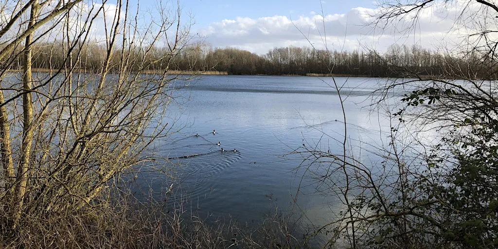 Thorney Park Practical Conservation Volunteer Session (July)