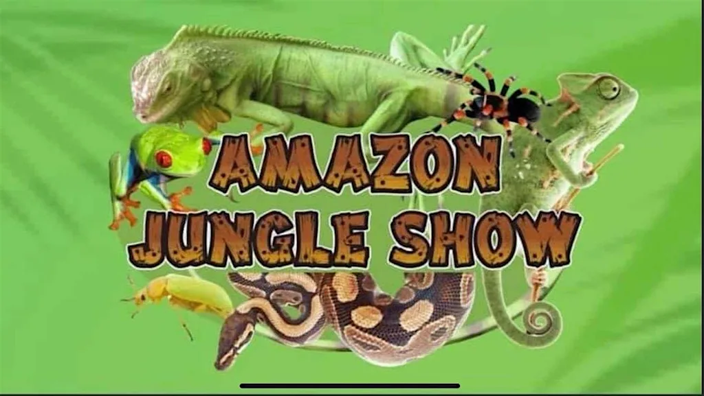 Meet the Amazon Jungle Creatures at Ormeau Road Library Family Fun Day at Ormeau Road Library