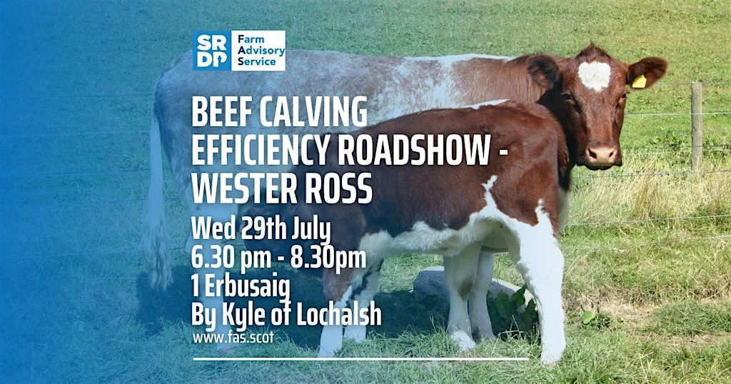 Beef Calving Efficiency Roadshow - Wester Ross at 1 Erbusaig