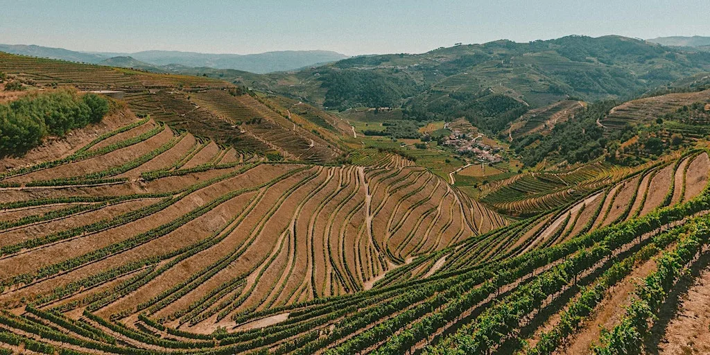 Back to the Future: Wines from Portugal at Theatre of Wine