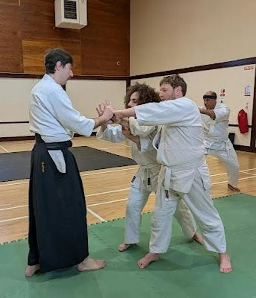 Try Traditional Aikido Class in Balbriggan