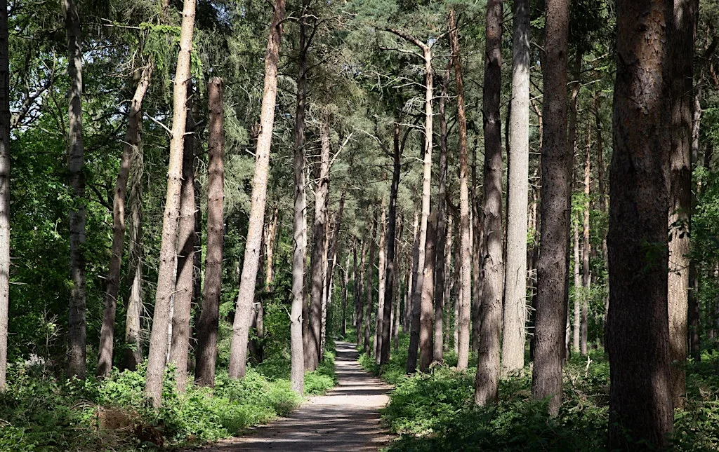 Good company, fresh air - NWT Broadland Country Park at Broadland Country Park
