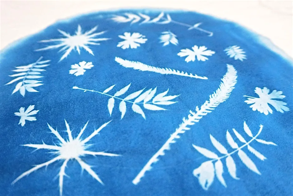 Cyanotype Workshop: Botanical Print T-Shirts at Haddenham Arts Centre
