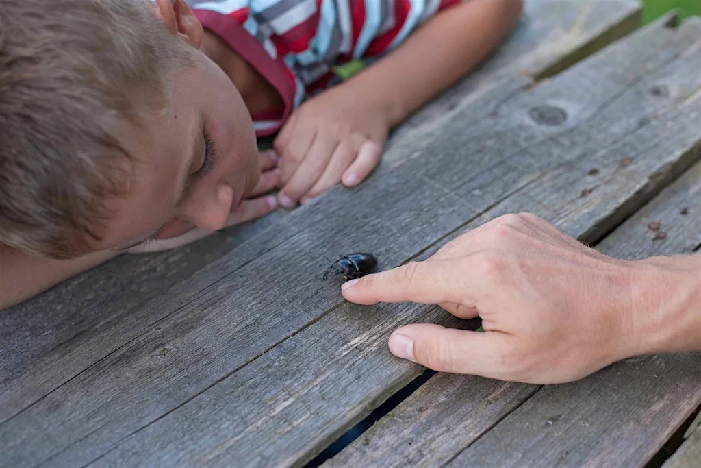 Bugs and Minibeast themed special (Ages 0-18 months)