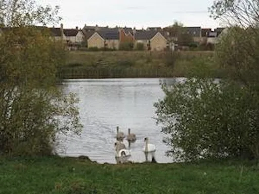 Wildlife Walk at Cambourne Nature Reserve at Cambourne Nature Reserve Car Park