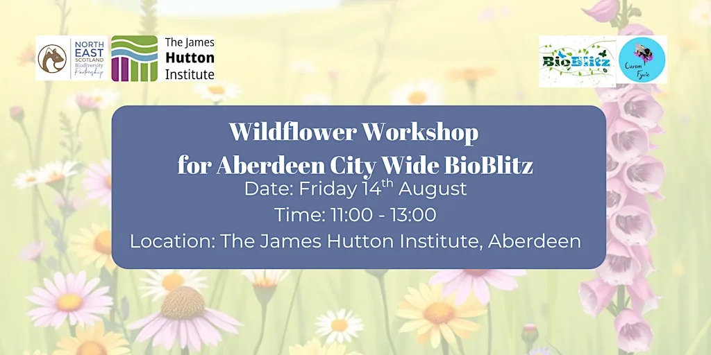 Wildflower Workshop - Aberdeen City Wide BioBlitz at The James Hutton Institute