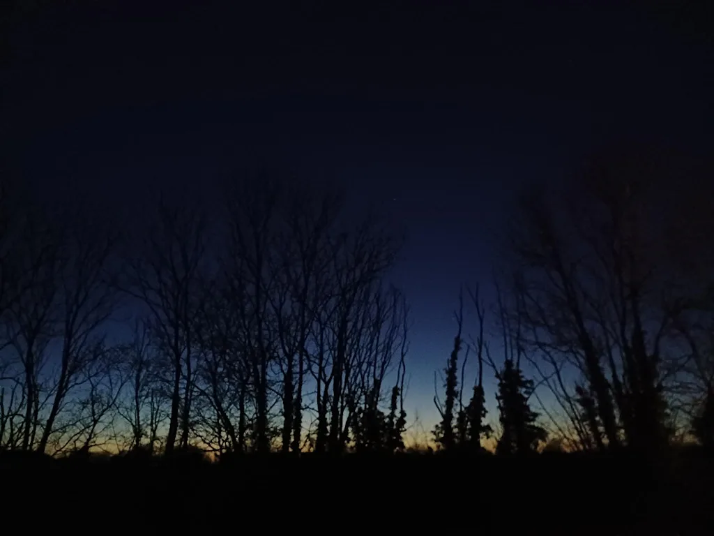 Night walk (Trumpington Meadows)