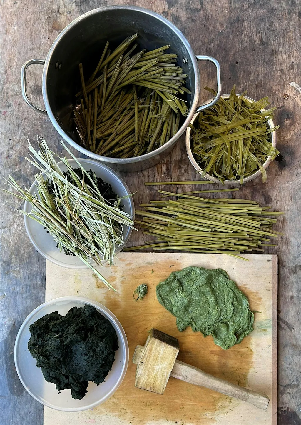Nettle Papermaking Workshop at The Make Space