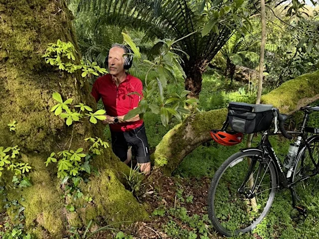 Treeline Reception Ride at Bradley's Tea Hut