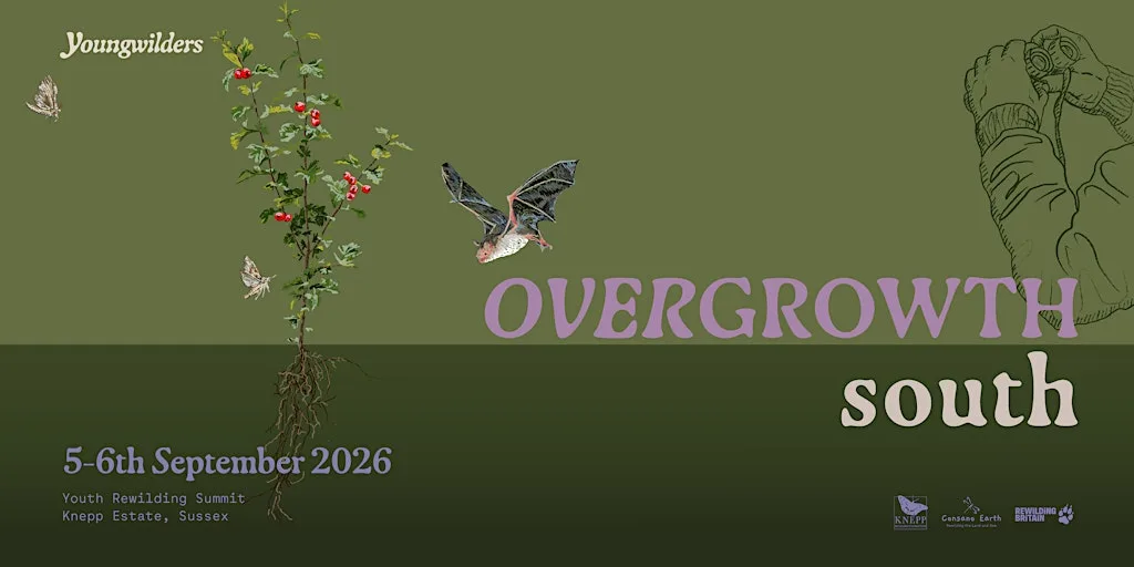Overgrowth South 2026 - Youth Rewilding Summit at Knepp Wild Futures Campsite