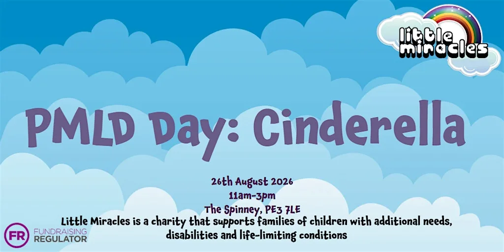 PMLD Day: Cinderella