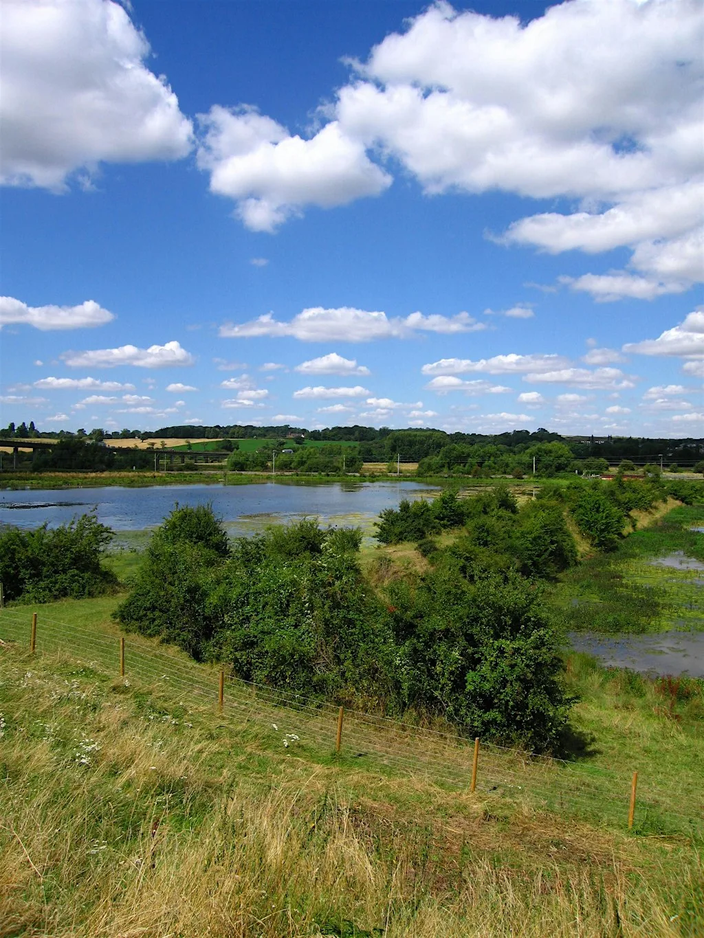 Volunteering Taster Session for 18-30s at King's Meads Nature Reserve at King's Mead Nature Reserve