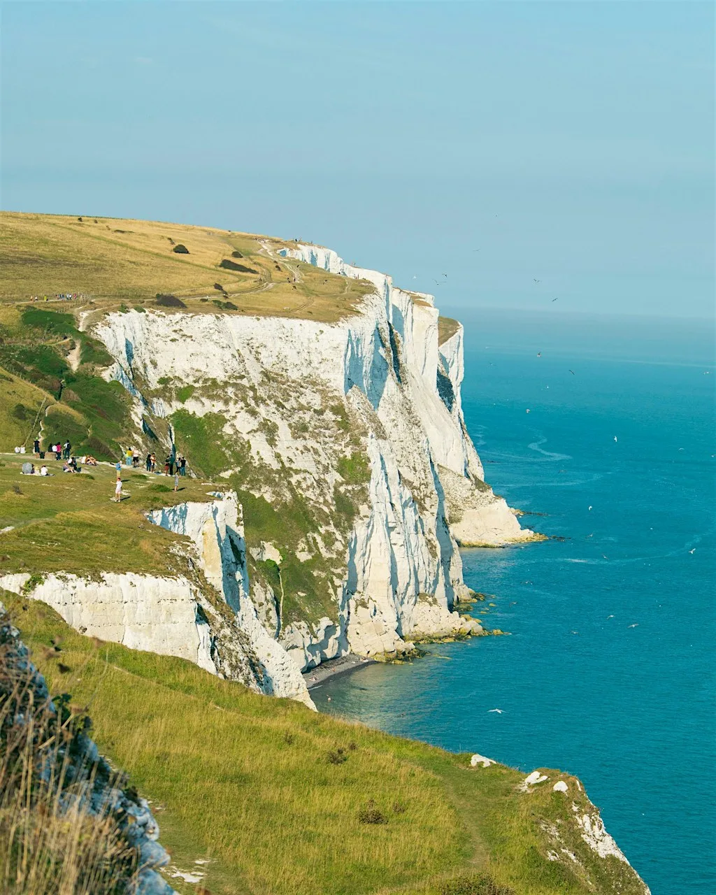 White Cliff Walk - Dover to Deal at The Priory