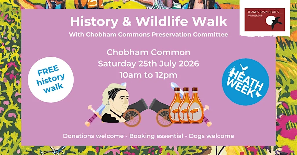 Heathland History and Wildlife Walk at Chobham Common at Staple Hill car park