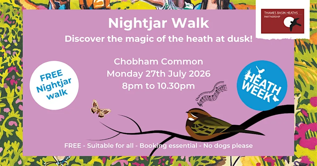 Nightjar Walk at Chobham Common at Chobham Common, Roundabout Car Park