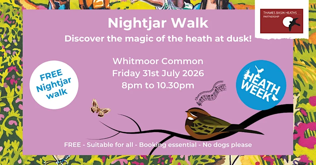 Nightjar Walk at Whitmoor Common at Whitmoor Common car park