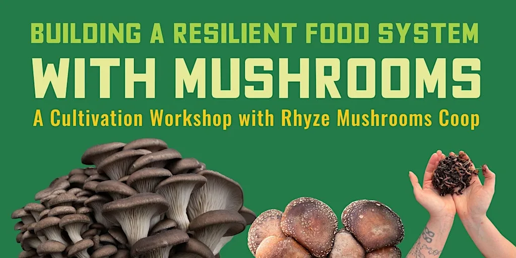 Building a Resilient Food System with Mushrooms: A Cultivation Workshop at Rhyze Mushrooms