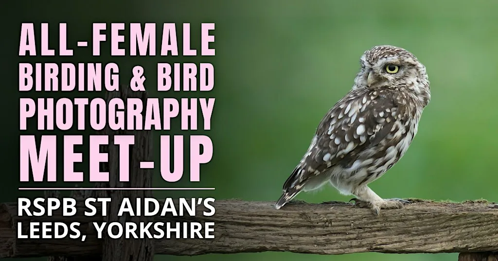 All-Female Birding & Bird Photography Meet-Up at RSPB St Aidan's