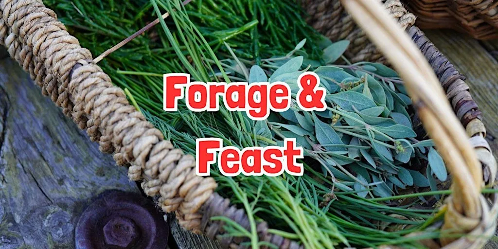 FORAGE & FEAST in Alderley Edge (Cheshire) at National Trust - Alderley Edge car park