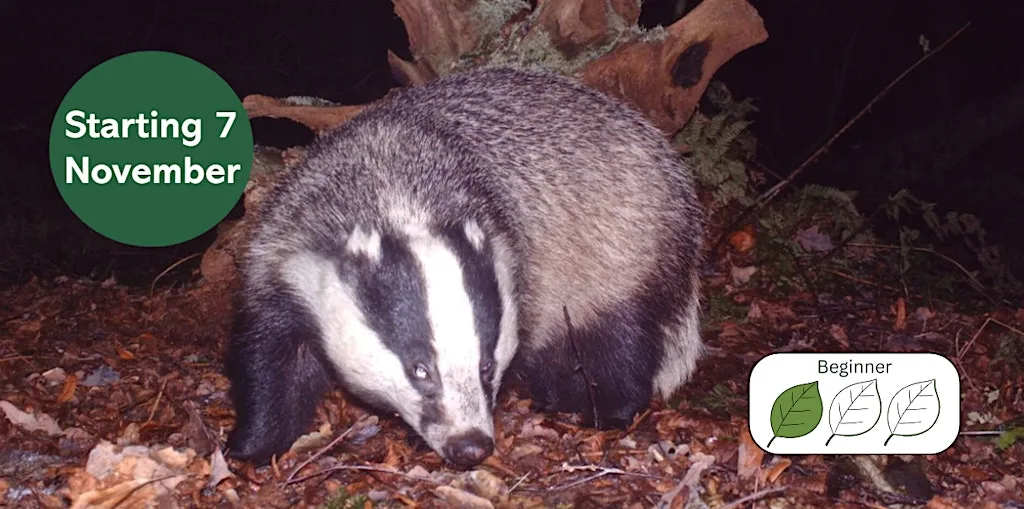 Camera Trapping for Mammals at Gosforth Nature Reserve