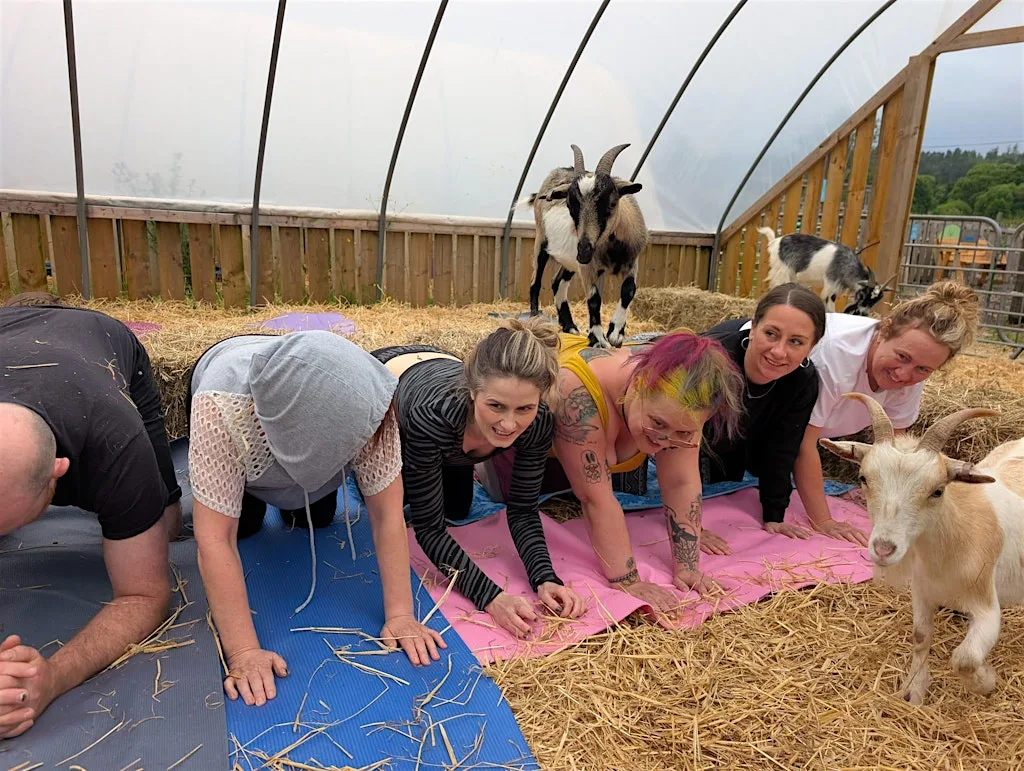 Yoga on the Farm - Adults only session at Hillview Animal Park