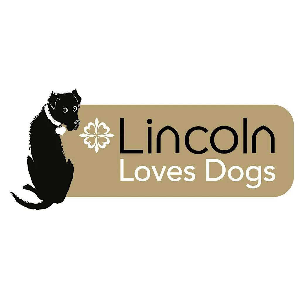 Lincoln Loves Dogs launch - Dogs on the Lawn at The Lawn