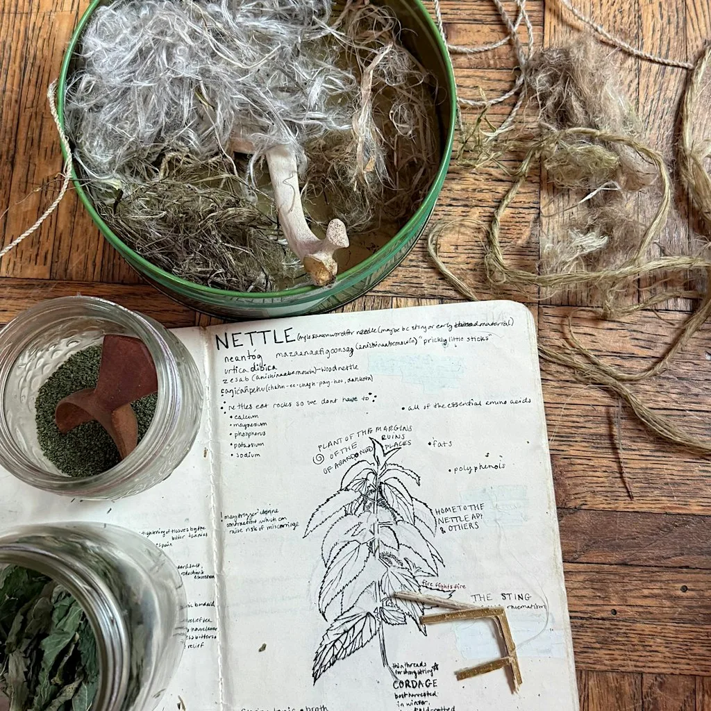 Learn to Make Nettle Cordage at Greywood Arts (Residency for Artists)