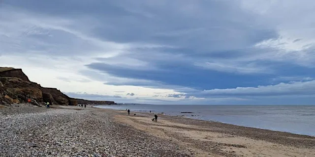 Marine Week: Evening Beach Clean - Seaham Hall Beach at Seaham Hall Beach Car Park