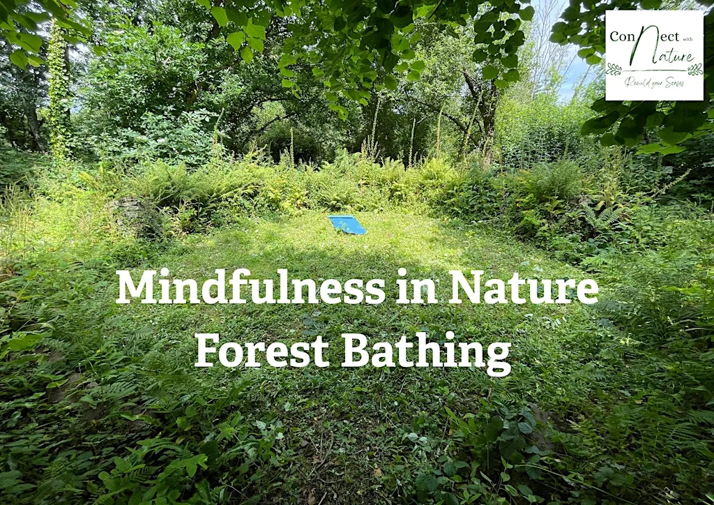 Mindfulness in Nature, Forest Bathing at Cornwall Wildlife Trust