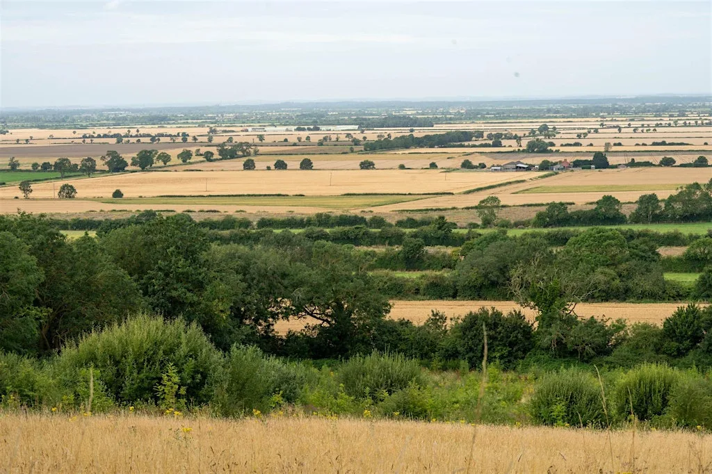 LWG Walk - Temple Bruer - 9.5 Miles - Leisurely - ****NOTE 10AM START**** at St John the Baptist, Temple Bruer