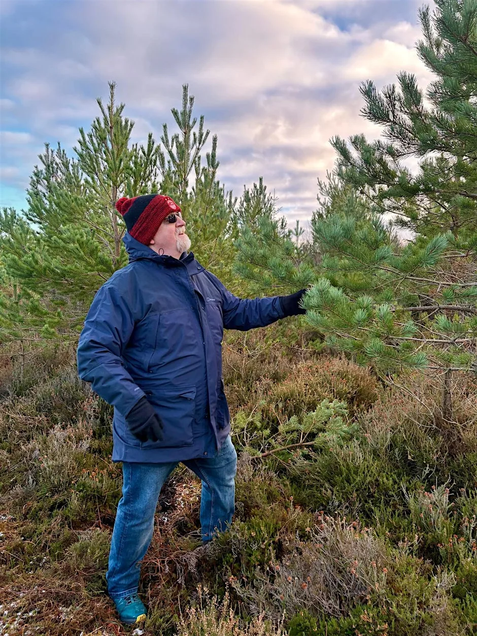 Choose Your Own Culloden Christmas Tree at Culloden Battlefield (National Trust for Scotland)