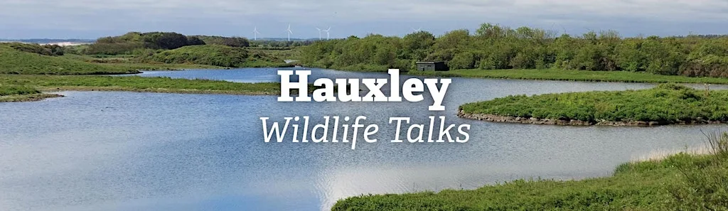 Hauxley Wildlife Talks: Rocks and rolls
