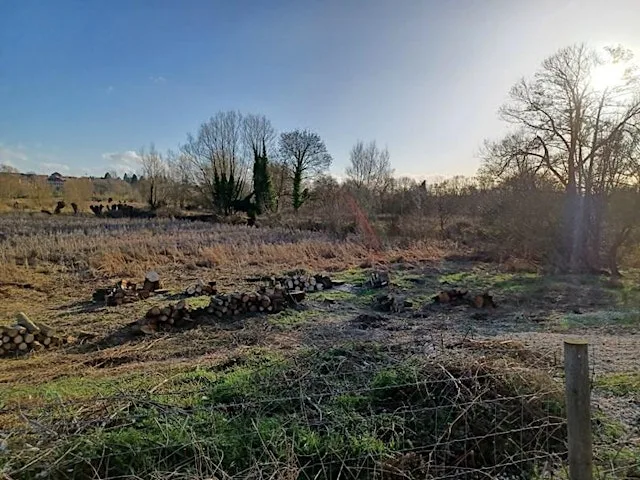 Guided Walk - Puxton and Stourvale Marsh Nature Reserves at Springfield Park