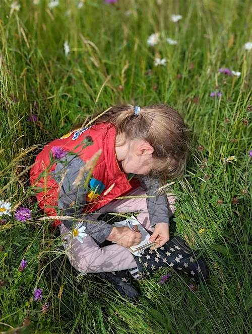 Community Nature Day at Three Hagges Woodmeadow