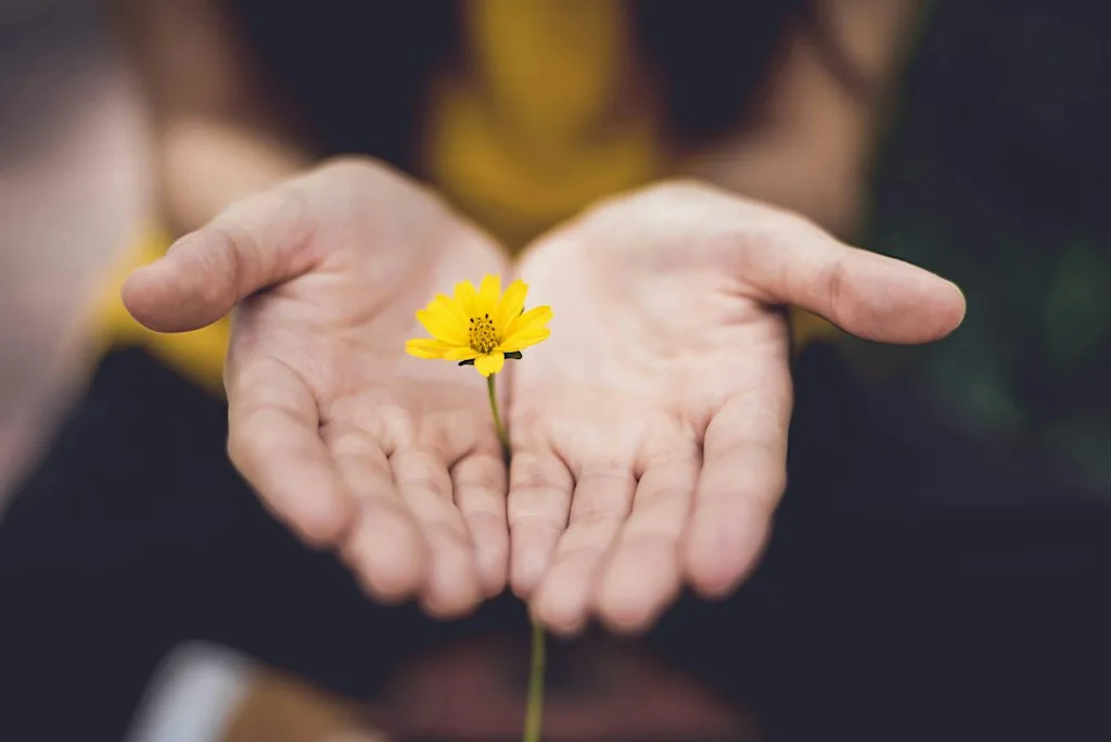 Repair, Restore, Resurge! Reclaiming Human Values in Healthcare