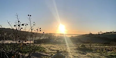 Farm open day and Wassail!