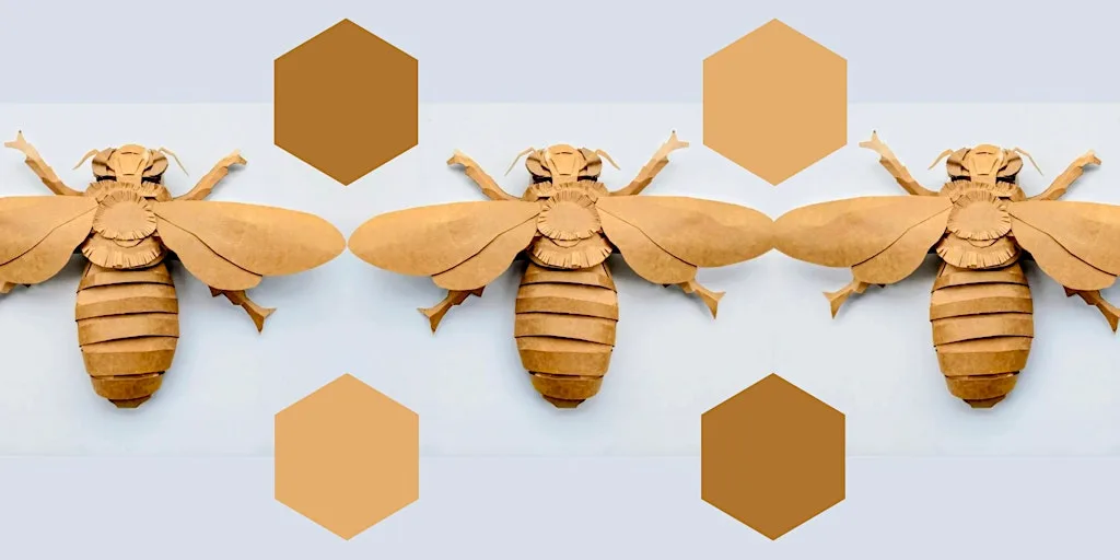 The Great Cardboard Bee Make! at Newtown Community Centre