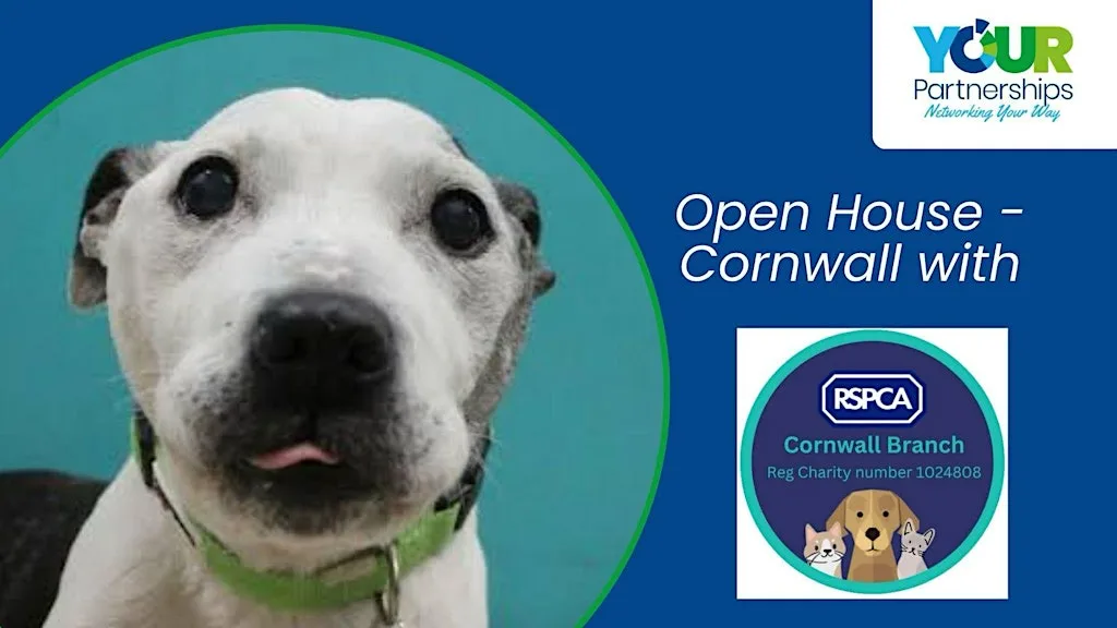 Cornwall Open House (on the road for August only) at RSPCA Cornwall Branch