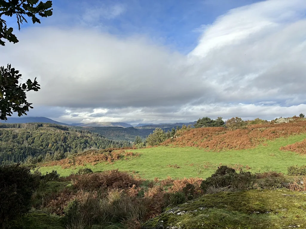 Capel Garmon with Eryri Warden