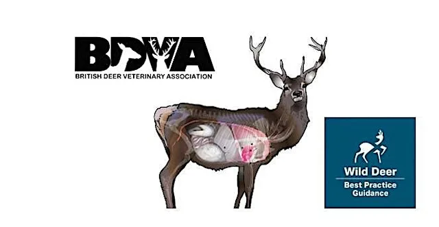 Scotland's Wild Deer Best Practice (WDBP) ~ Deer Health and Disease at Smailholm