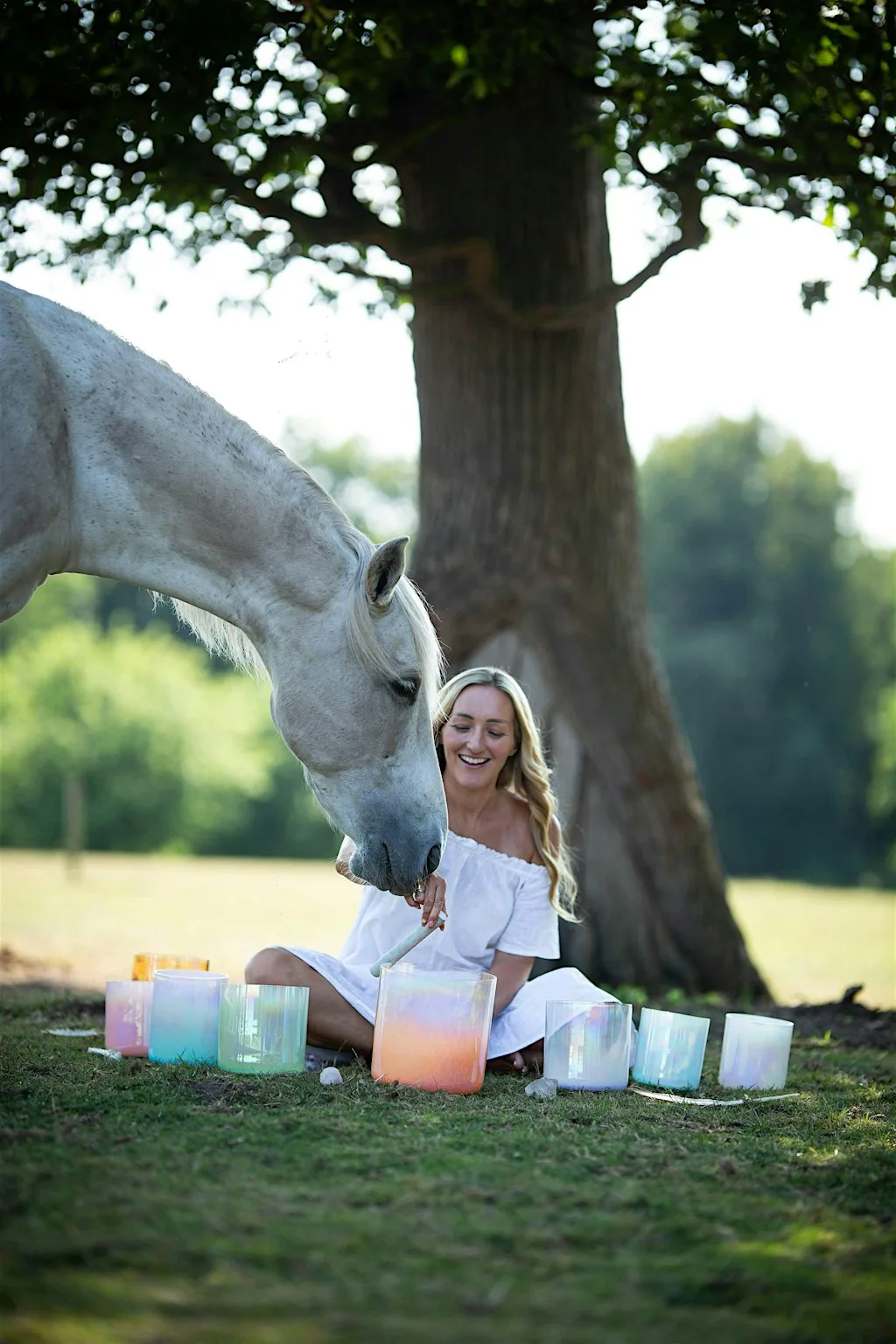 WILD & WILD Horse Connection Club | Equine Wellness Experience at Giantswood Lane