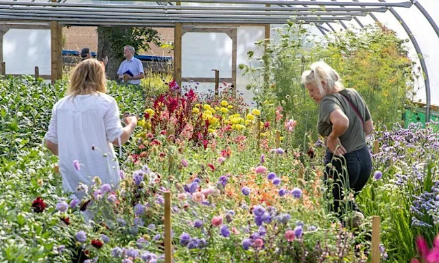 Flowers Grown in Scotland Growers Get Together 2026 at St. Machar's Cathedral