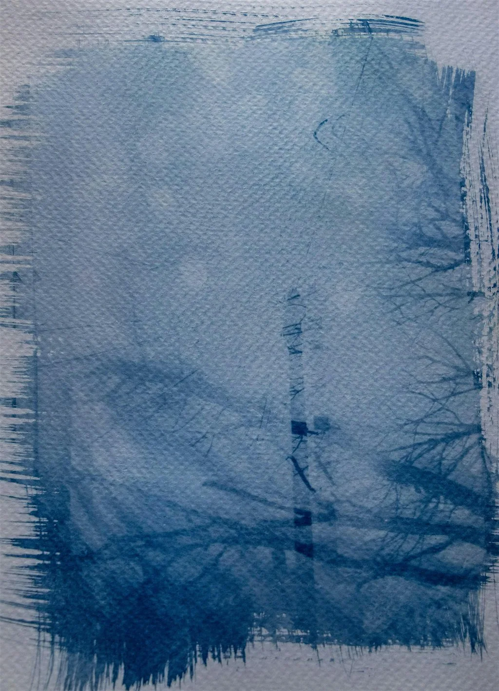 Cyanotype Workshop at Spit & Sawdust
