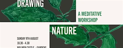 Drawing Nature at Walmer Castle and Gardens