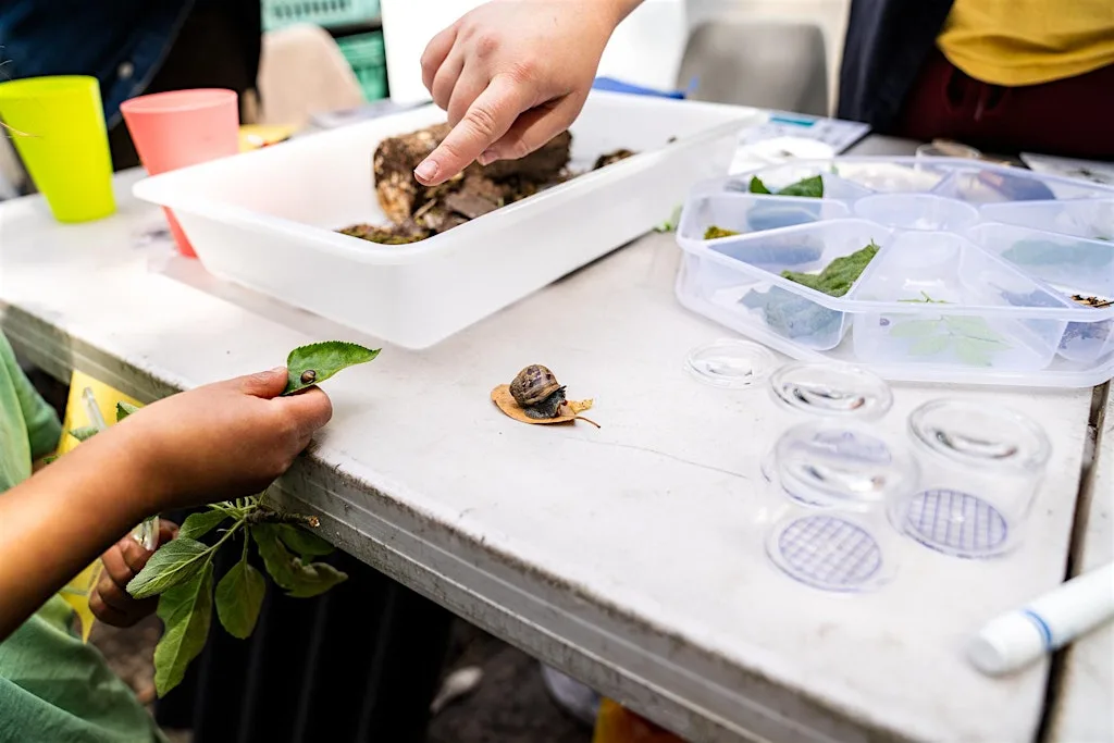 Summer Bioblitz at Allens Community Garden at Allens Gardens