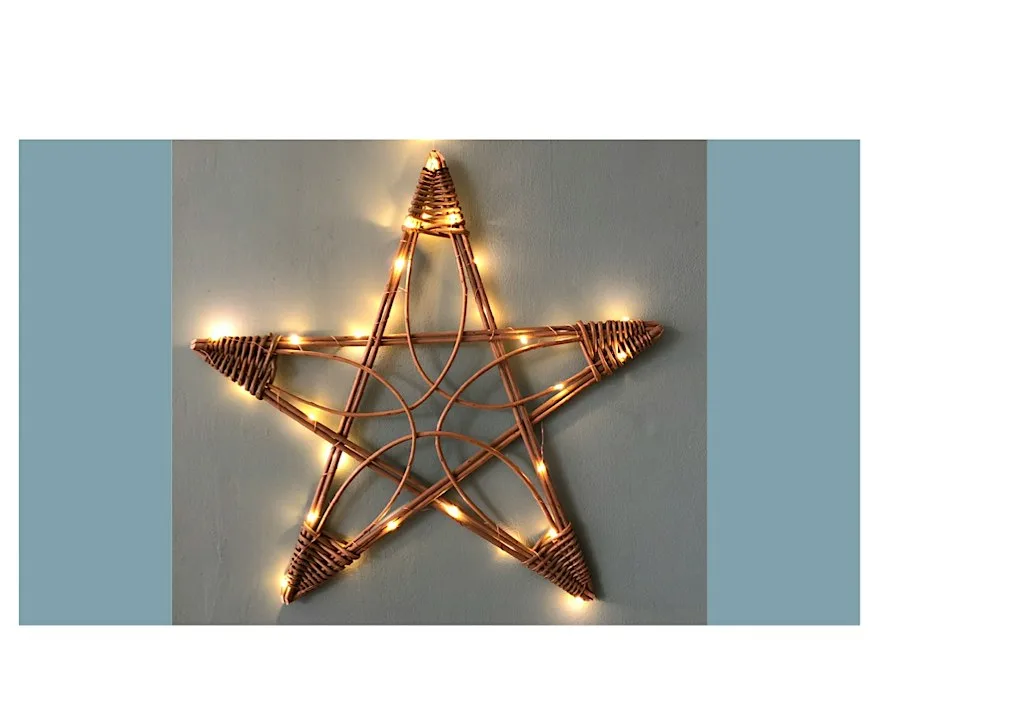 Willow Star Workshop at The Workshop