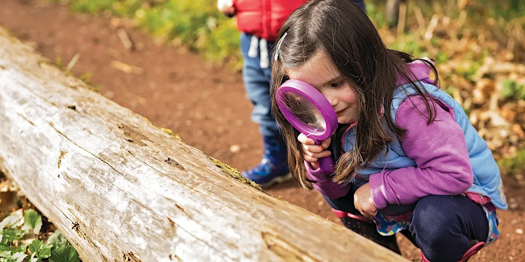 Brilliant Bugs and Where to Find Them! at Spurn Discovery Centre