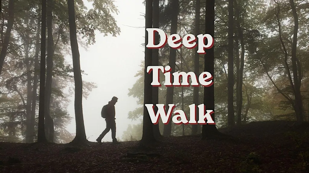 Deep Time Walk - Swansea Beach at The Observatory Swansea
